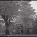 Rochelle House Photo 19