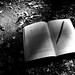 William Gass Photo 19