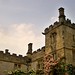 Elizabeth Talbot Photo 38