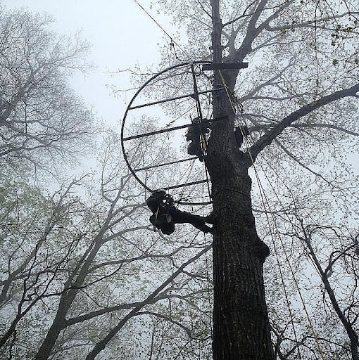 Joseph Linville Photo 6