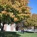 Matthew Mcclain Photo 13