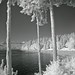 Stanley Rodgers Photo 8