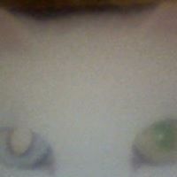 Richard Leister Photo 3