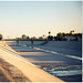 Ty Smith Photo 9