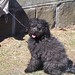 Debra Lively Photo 6