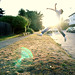 Steven Lutze Photo 7