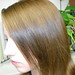 Melissa Stewart Photo 26