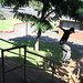 Brandon Stevenson Photo 14