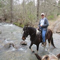 David Proctor Photo 13
