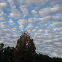 Terry Rogers Photo 13