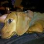 Kate Dougherty Photo 15