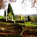 Steve Compton Photo 42