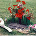 Ray Vaughn Photo 13