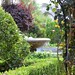 Anne Morey Photo 13