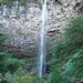 Debra Watson Photo 10