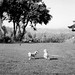 Clyde Bailey Photo 19