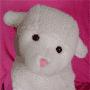 Bobbie Lamb Photo 20