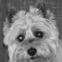 Mary Geyer Photo 16
