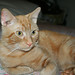 Larry Meyer Photo 46