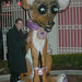 Todd Hilton Photo 15