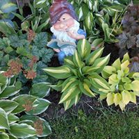 Lois Lang Photo 22