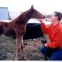 Tammy Mcneill Photo 2