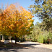 Billie Hill Photo 15