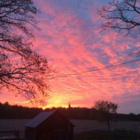 Ann Baird Photo 29