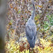 Steven Brooks Photo 14