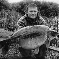 Richard Carp Photo 6