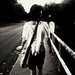 Melody Nash Photo 19