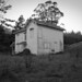 Randall Wire Photo 3