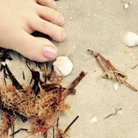 Julie Qualls Photo 24