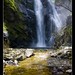 David Rios Photo 22