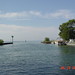 Teresa Mullett Photo 7