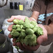 Paul Brewer Photo 23