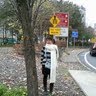 Eun Cho Photo 6