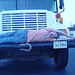 Cody Hooks Photo 23