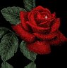Debra Lyons Photo 38