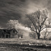 Rodney Harvey Photo 17