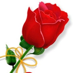 Noor Ahmed Photo 15