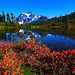 Heather Mount Photo 16