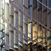 Lloyd Lines Photo 7
