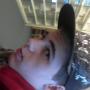 Harley Larson Photo 25
