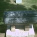 John Tuttle Photo 18