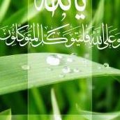 Nasir Mohammed Photo 14