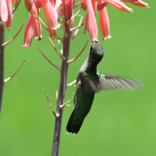 John Loftin Photo 8
