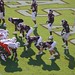 Michael Mayes Photo 41