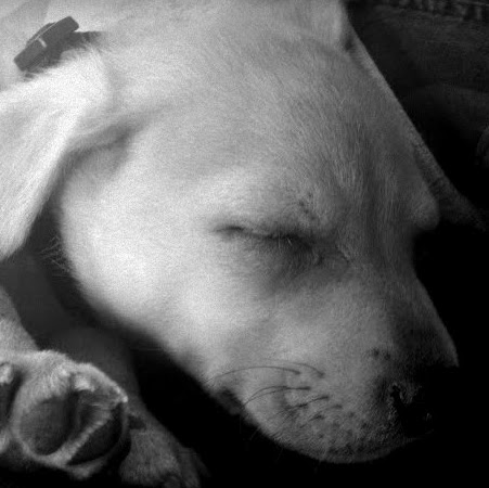 Duke Jones Photo 8