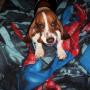 Lourdes Quintero Photo 18